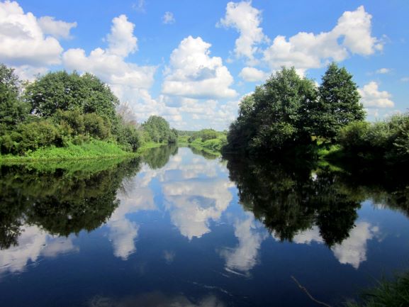 Плывут по небу облака