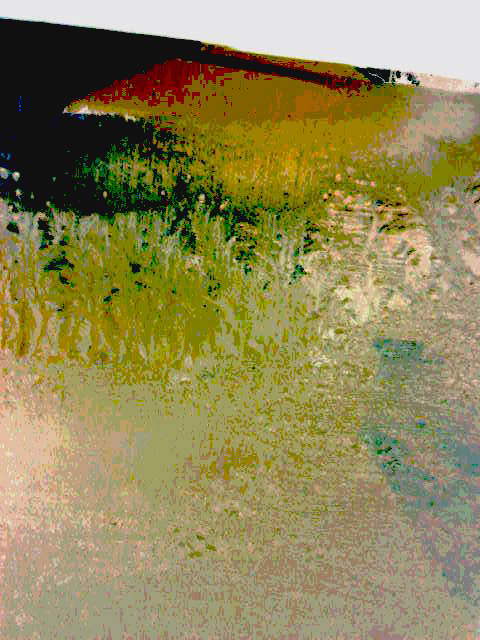 Иду в поля, судьбу итожа