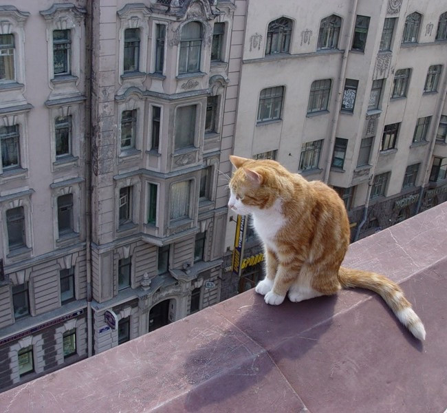 Я всё-таки контужена весной...