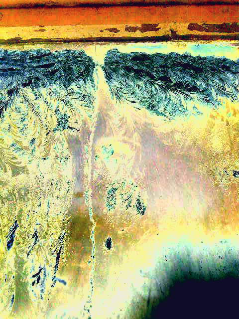 Берёз желтеющих ватага