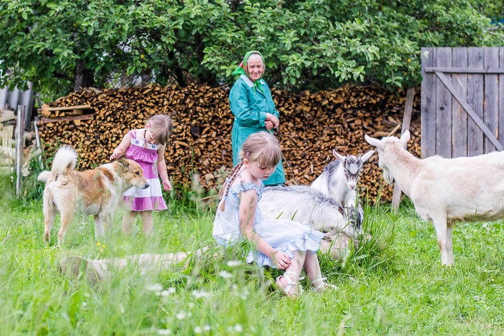 Летний отдых в деревне