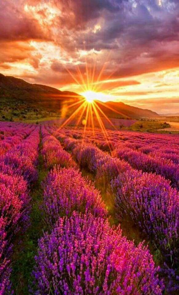 Рожденье утра