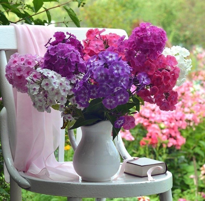 Пока сердце бьётся