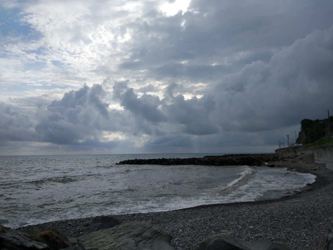 Летний ливень