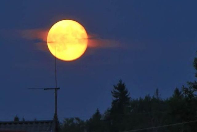 Вера моя - это свет убежденья!