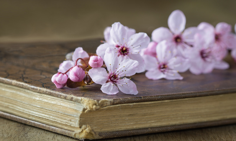 Чту Булгакова и Пастернака...