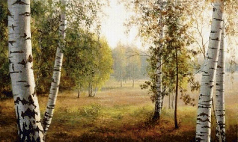 Гуляй душа в березовых просторах,