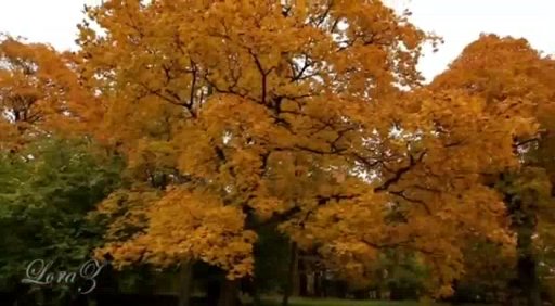 Седина в бороду, а Бес...