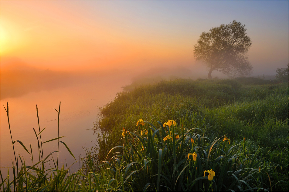Как на небе чудесная зорька