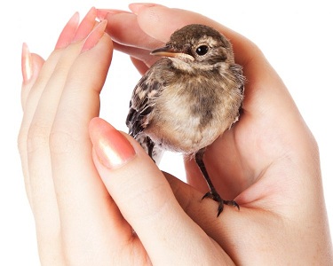 Душа есть у всех