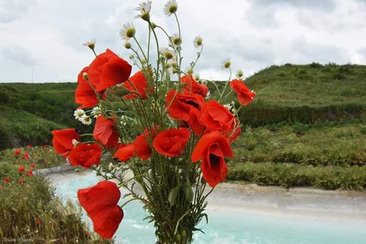 Мгновения весны