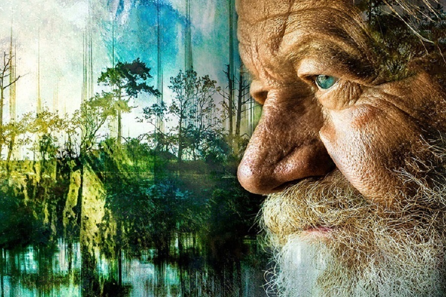 Чёрствая душа