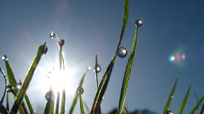 Солнце коснётся слёз...