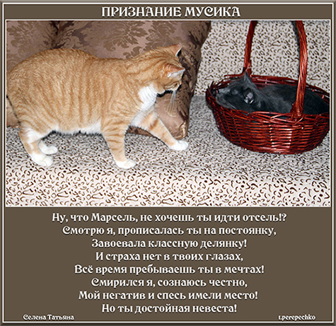 Признание Мусика