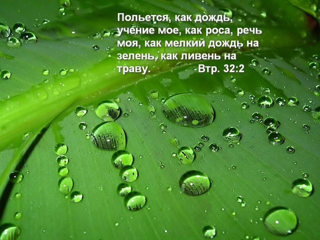 Как художник дождик нарисую...