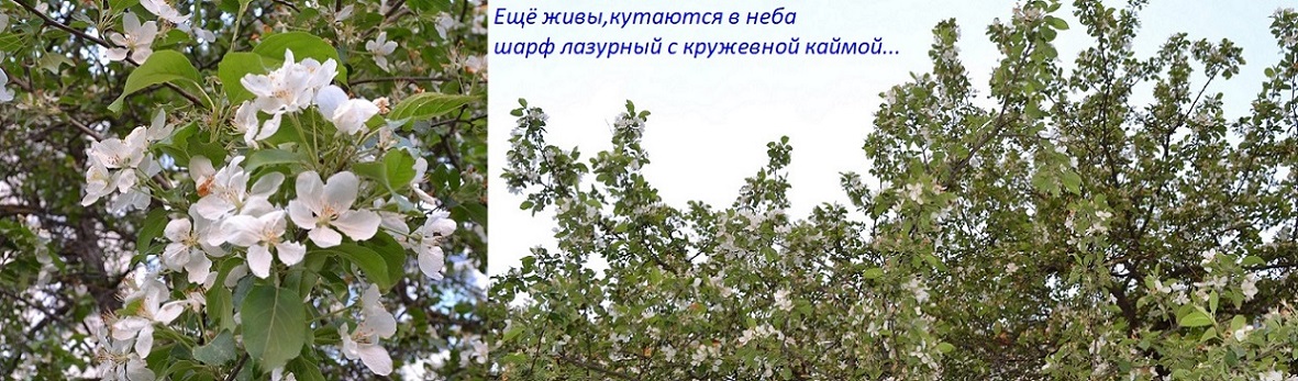 Ещё живы, кутаются в неба...