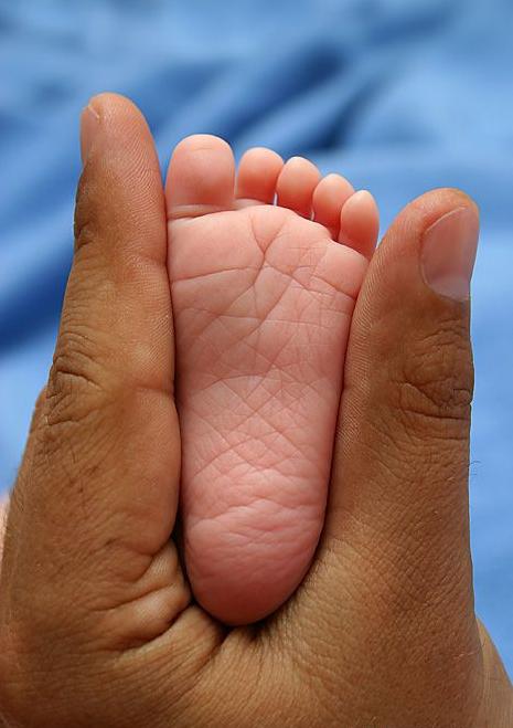 Нерожденный