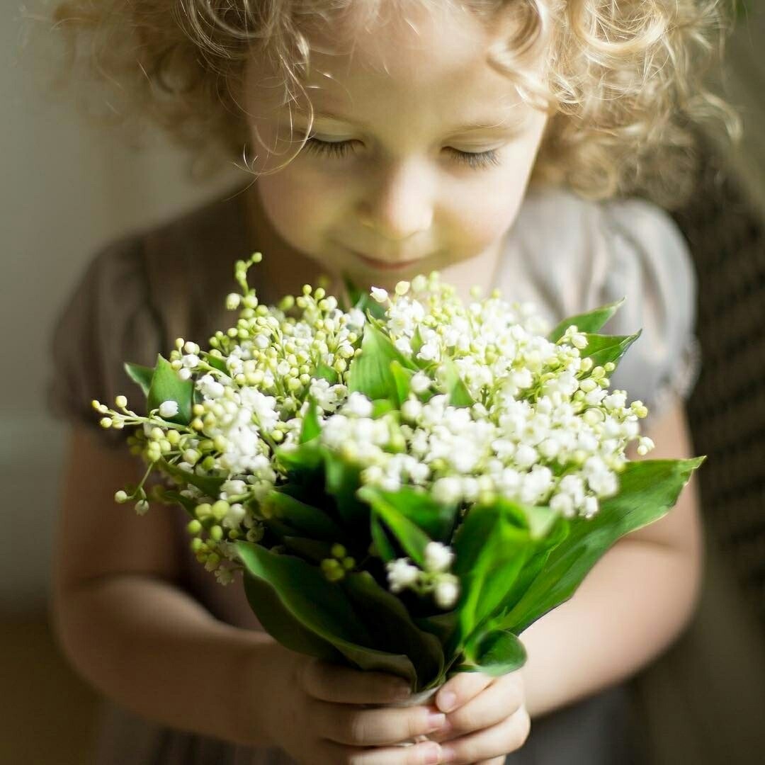 Ароматная харизма