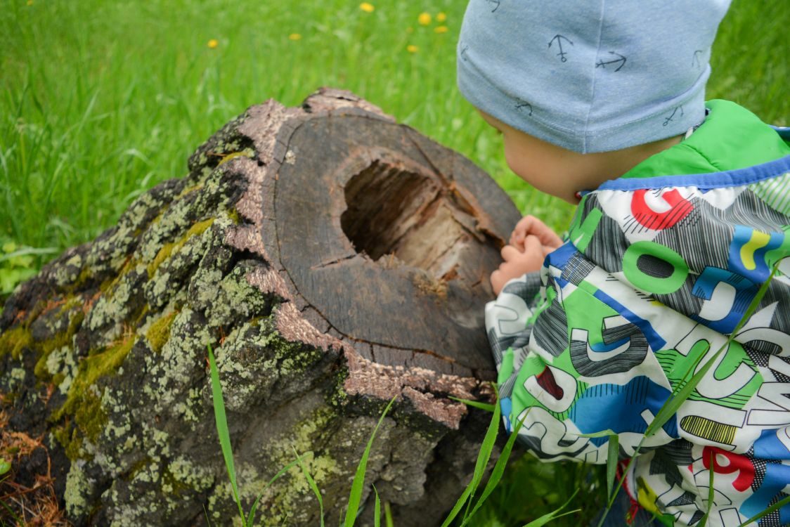 Как - то тёплым летним днём