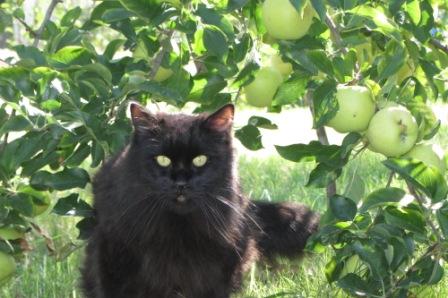 Мотькина весна