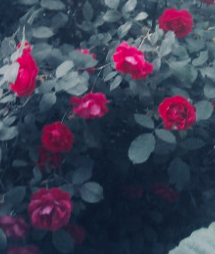 Сказка. Ответ С. Т. 24