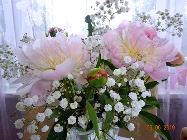 Чтобы за жизнь - не добавить долгов...