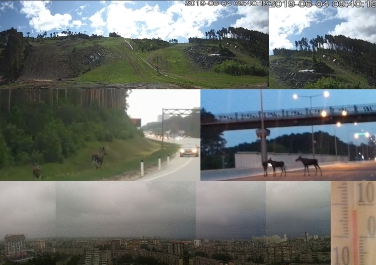 Прекрасно понимаю лосей...