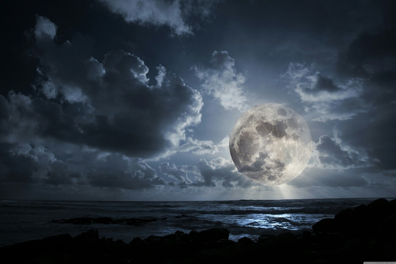 Люби природу!