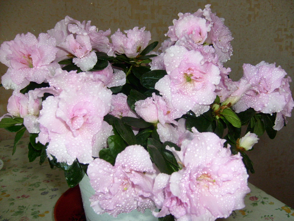 И, снова о любви... (Владимир Константинов 6) / Стихи.ру