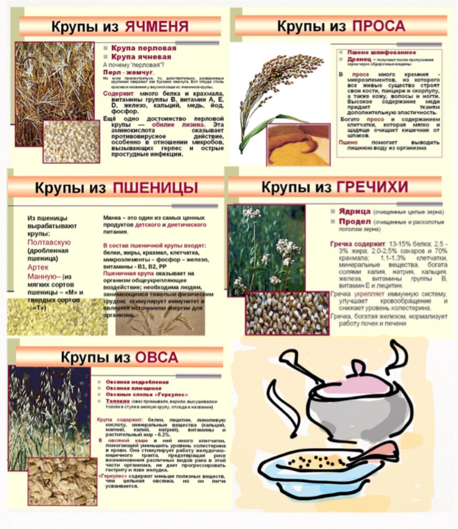 Наши Каши (Владимир Ермоленко) / Стихи.ру