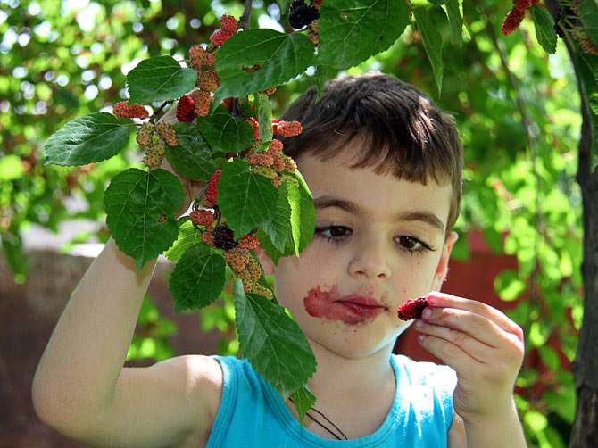 Под размахами полновоздушного неба... (Сергей Шелковый) / Стихи.ру
