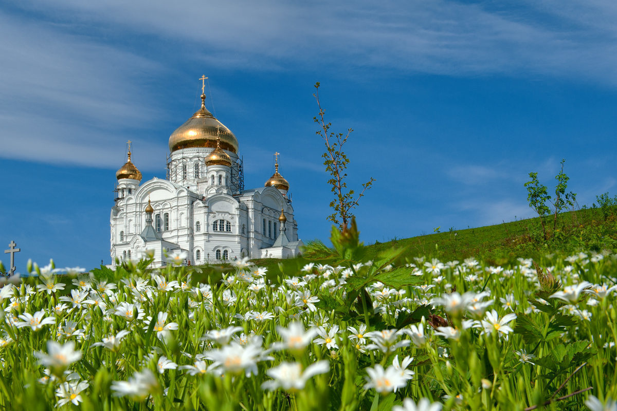Ромашное достоинство