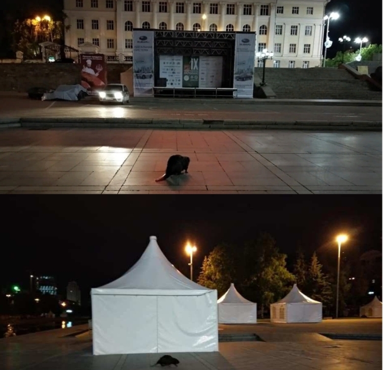 Ночной дозор обходит Екатеринбург...