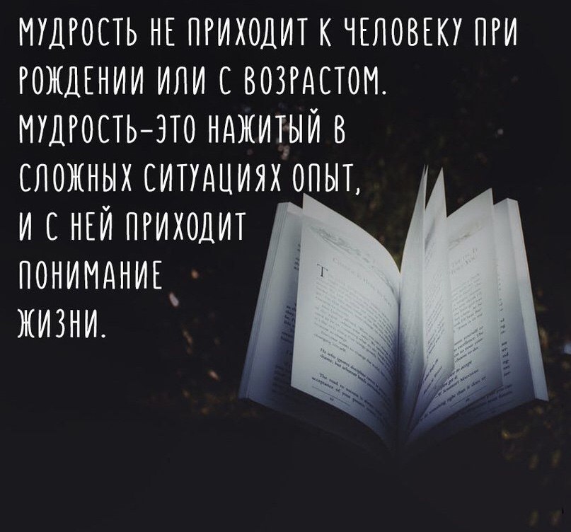 Пример мудрости из жизни Смотри, учись у жизни (Марина Ребрищева) / Стихи.ру