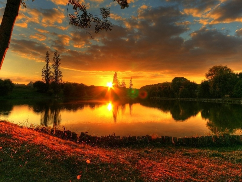 Весенняя роща (Вера Половинко) / Стихи.ру