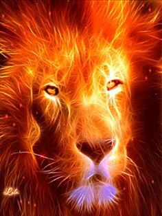 Fire lion