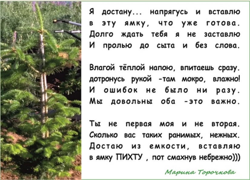 Я достану... напрягусь и вставлю