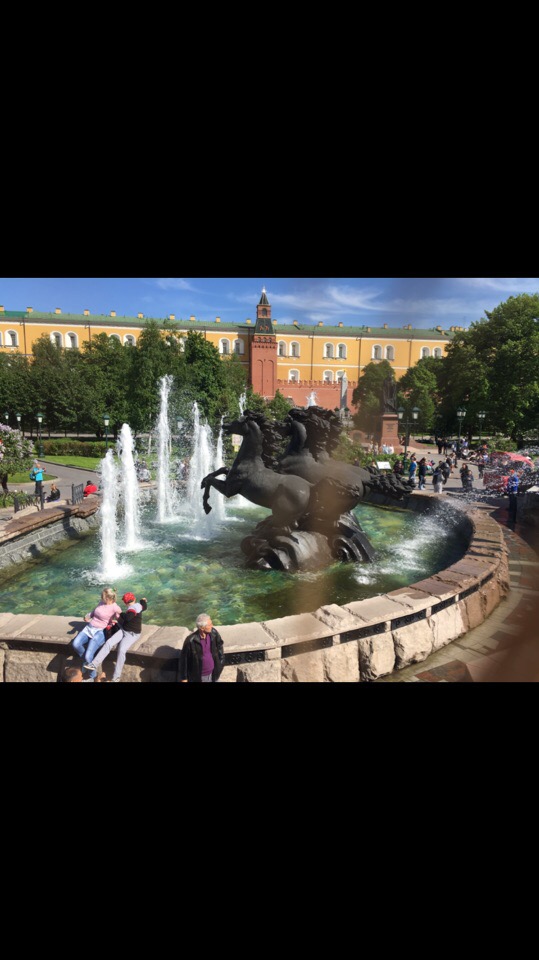 Когда распускаются листья...