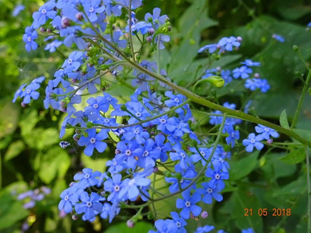 Мелочи жизни