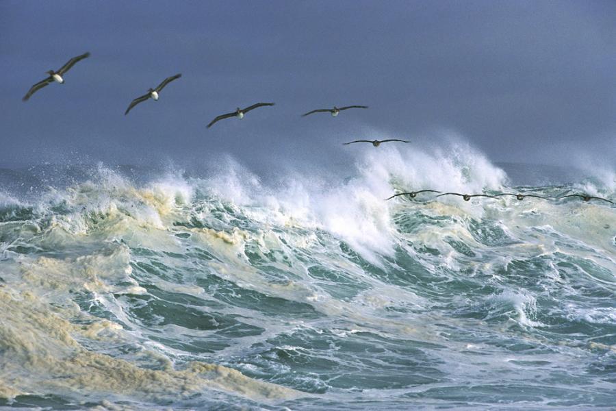 Море и ветер