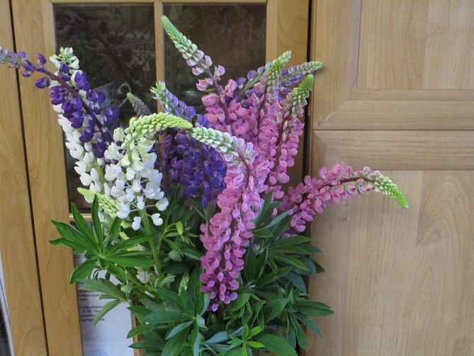 Коснуться строк в рассвете дня