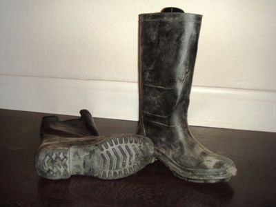 Сапоги - сапожки