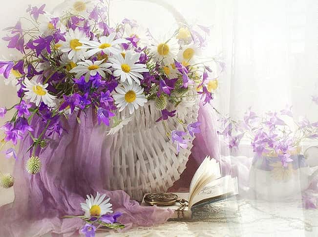 Я держала томик Чехова