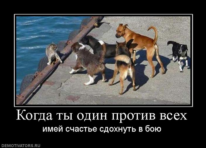 Осколки прошлого