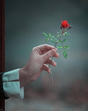 никак тебя не распознать в толпе