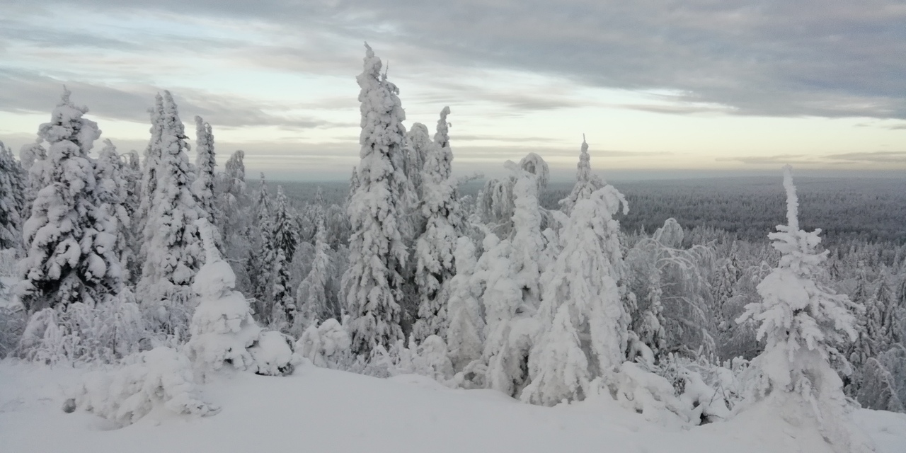 Зимка русская сурова