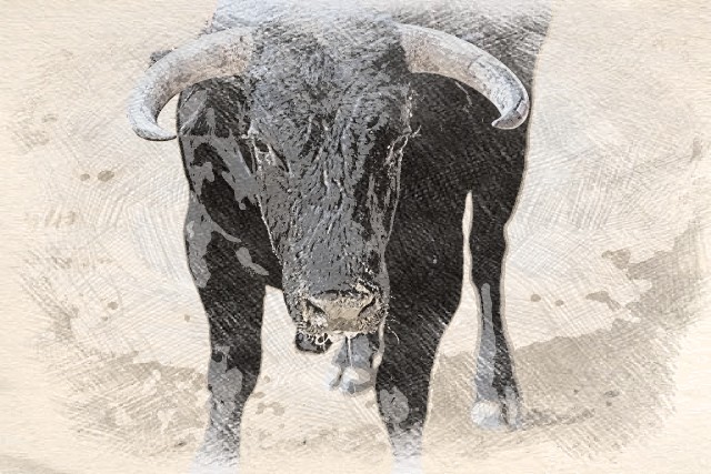 бык роет землю копытом