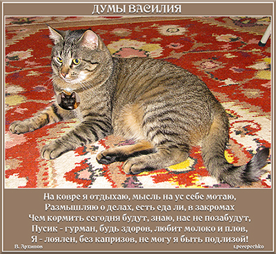 Думы Василия