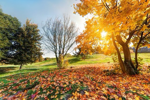 Дыхание осени