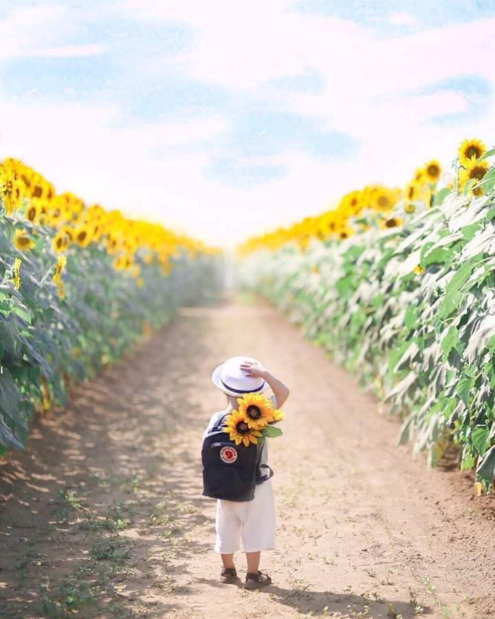 Хто нас пробудить?